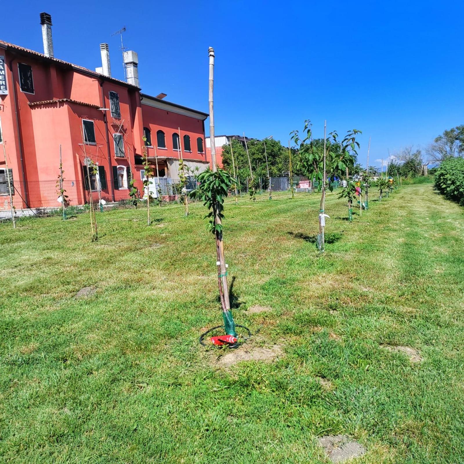 בית הארחה San Donà di Piave 	Quadrifoglio Relax מראה חיצוני תמונה