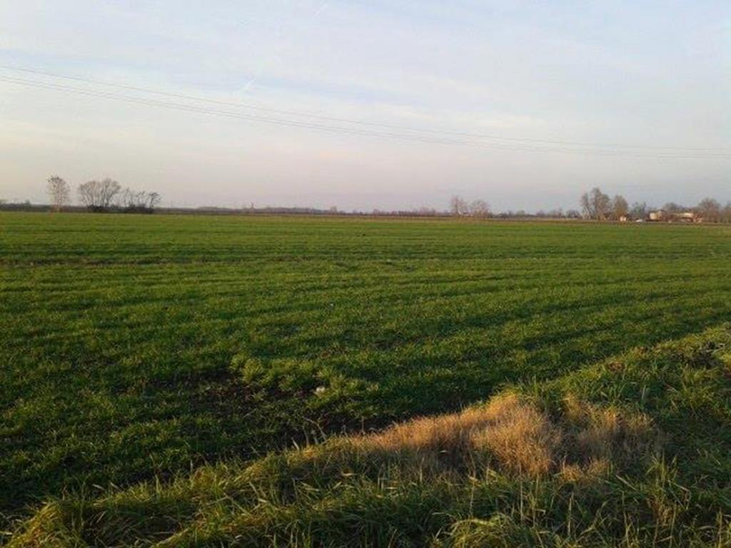 בית הארחה San Donà di Piave 	Quadrifoglio Relax מראה חיצוני תמונה